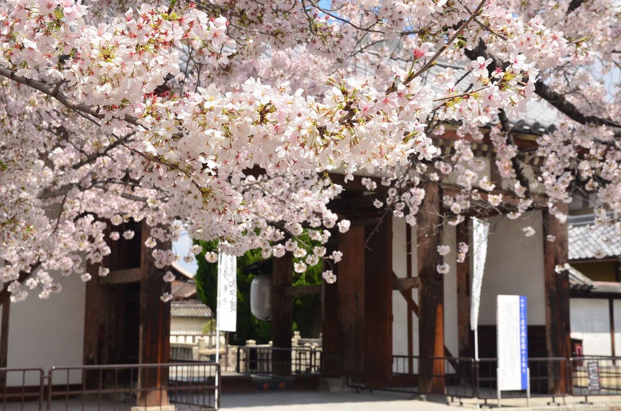 Miyabi Cosy House Hotel Kyoto Exterior foto